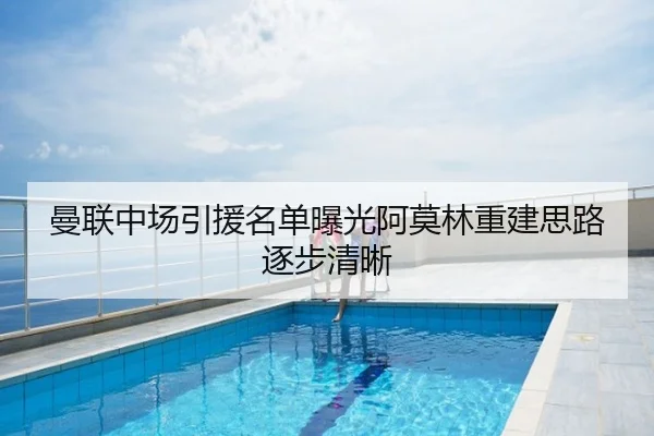 曼联中场引援名单曝光阿莫林重建思路逐步清晰