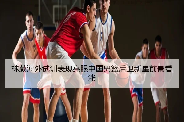 林葳海外试训表现亮眼中国男篮后卫新星前景看涨